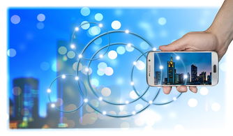 护眼手机排行榜2025测试，护眼手机排行2021