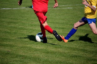 2025年俱乐部足球身价排行榜，2020年足球俱乐部收入排行榜