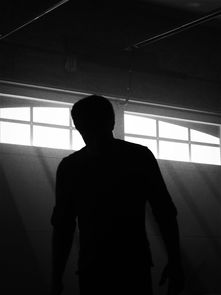 新的悬疑剧，2025新剧悬疑排行榜前十名