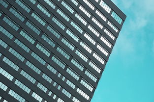 2025年门窗排行榜,2021年门窗排行榜