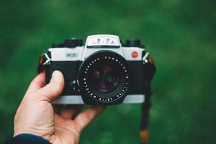 工具品牌排行榜2025有哪些，工具品牌排行榜2025