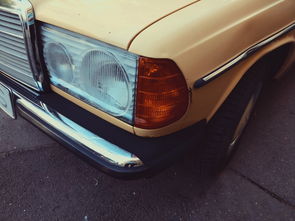 2021年汽车排行，2025排行榜车