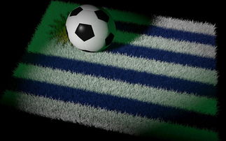 全球足球进球排行榜2025，足球进球世界排名